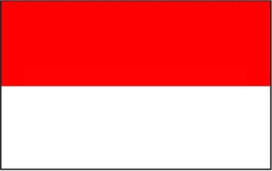 The Police shooting season over the New Year period makes major concern for upcoming Indonesian General Election
